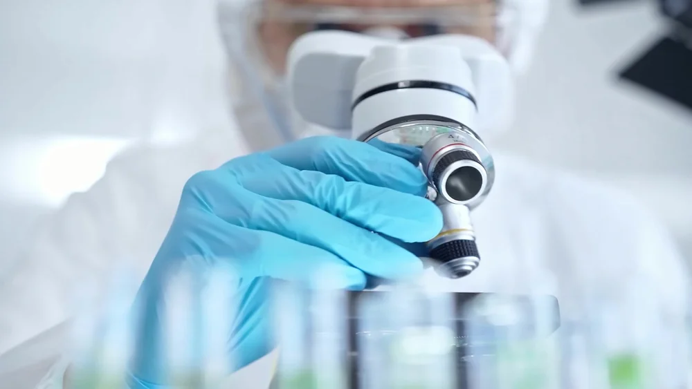 bih-lider-tranplantalogii-v-evrope