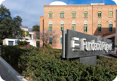 Property 1=Group 501