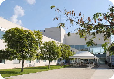 Property 1=Group 555