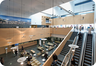 Property 1=Group 561