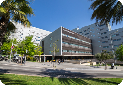 Property 1=Group 562