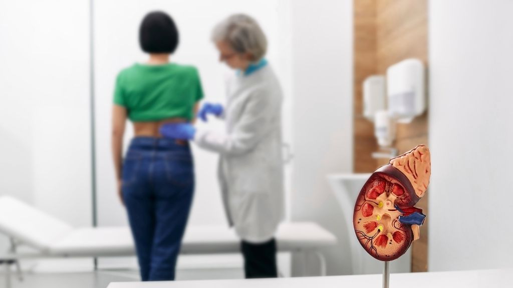 Kidney care and living donor kidney transplantation